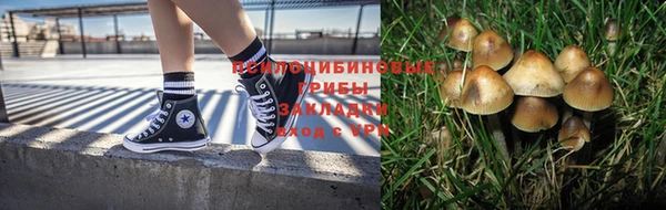 винт Балахна