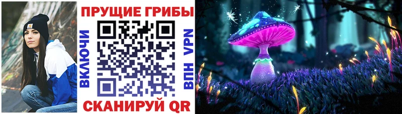 Галлюциногенные грибы ЛСД  где найти наркотики  кракен ТОР  Моздок 